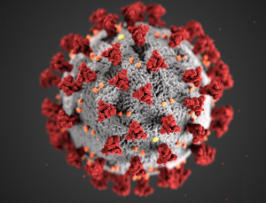 virus bild